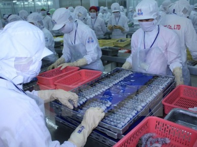 Ca Mau seafood export reaching US$ 440 million