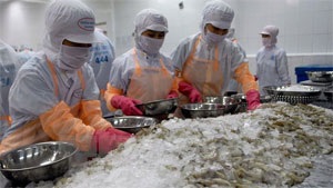 Can Tho aims for increasing seafood exports by 24%