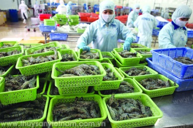 Seafood exports to reach US$ 8.5 billion in 2015