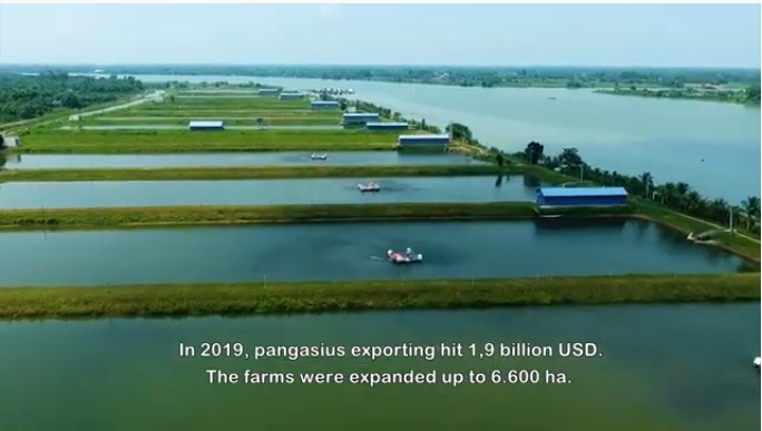 Vietnamese fisheries towards sustainable development