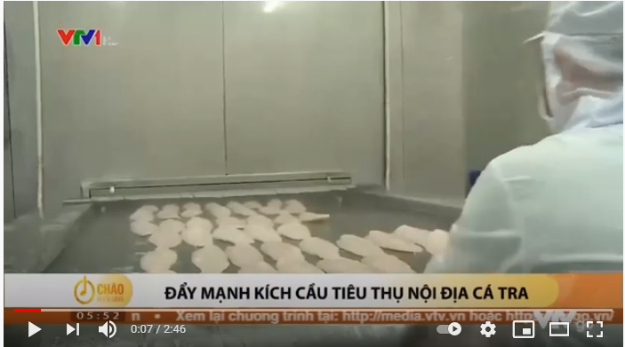 Đẩy mạnh kích cầu tiêu thụ nội địa cá tra