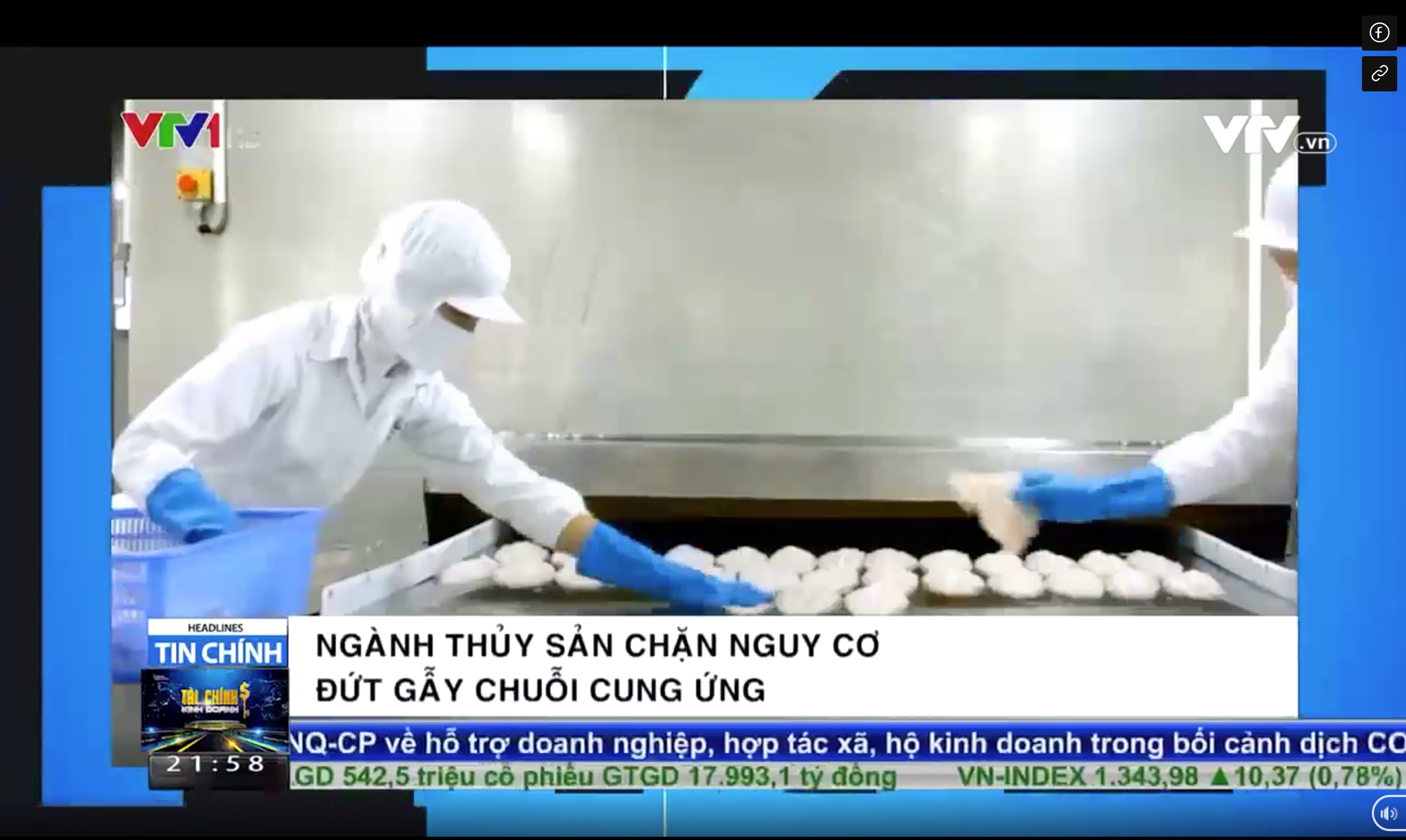 Ngành Thuỷ sản chặn nguy cơ đứt gẫy chuỗi cung ứng