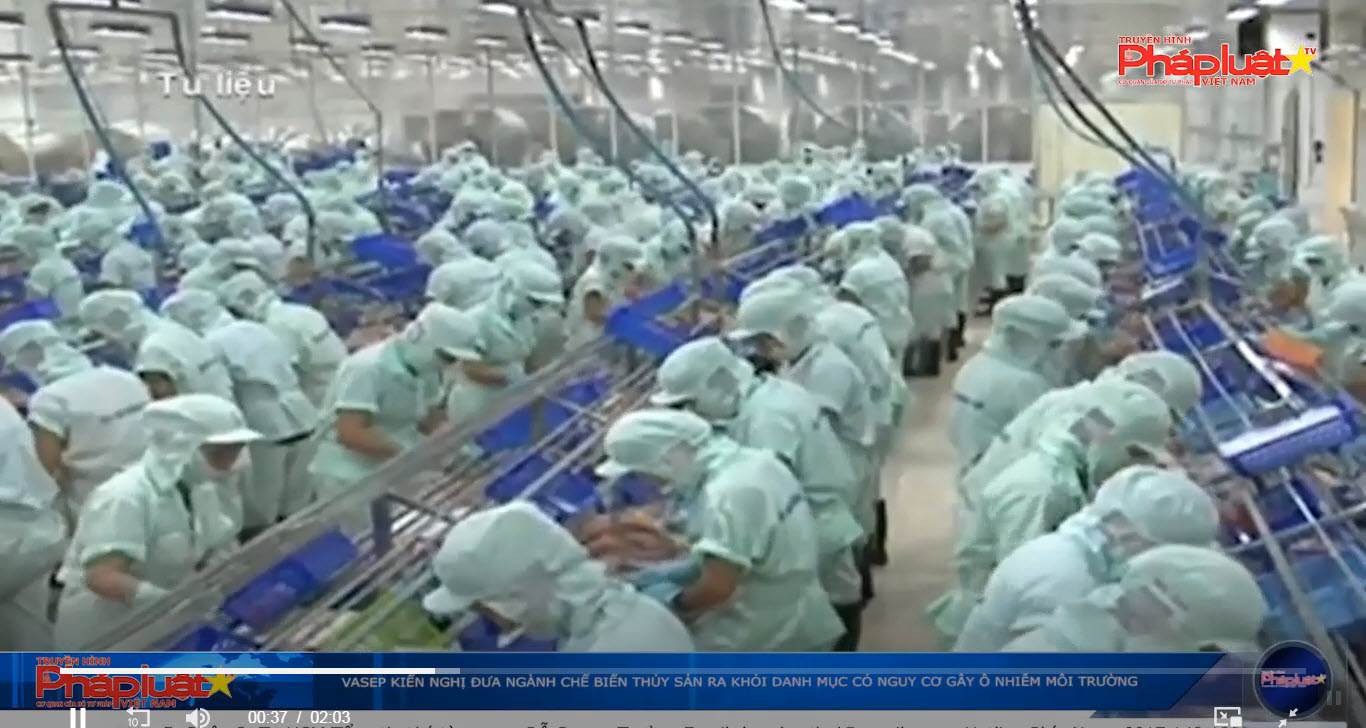 VASEP kiến nghị đưa ngành chế biến thủy sản ra khỏi danh mục có nguy cơ gây ô nhiễm môi trường