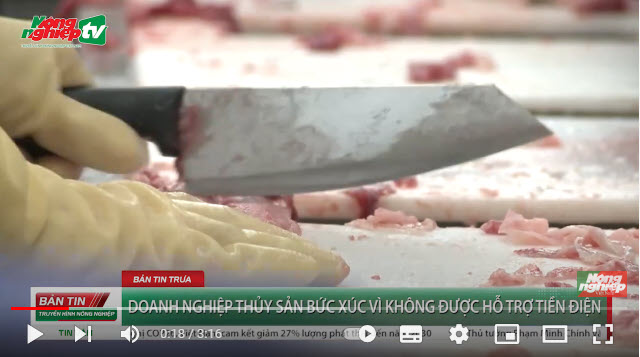 Doanh nghiệp thủy sản bức xúc vì không được hỗ trợ tiền điện