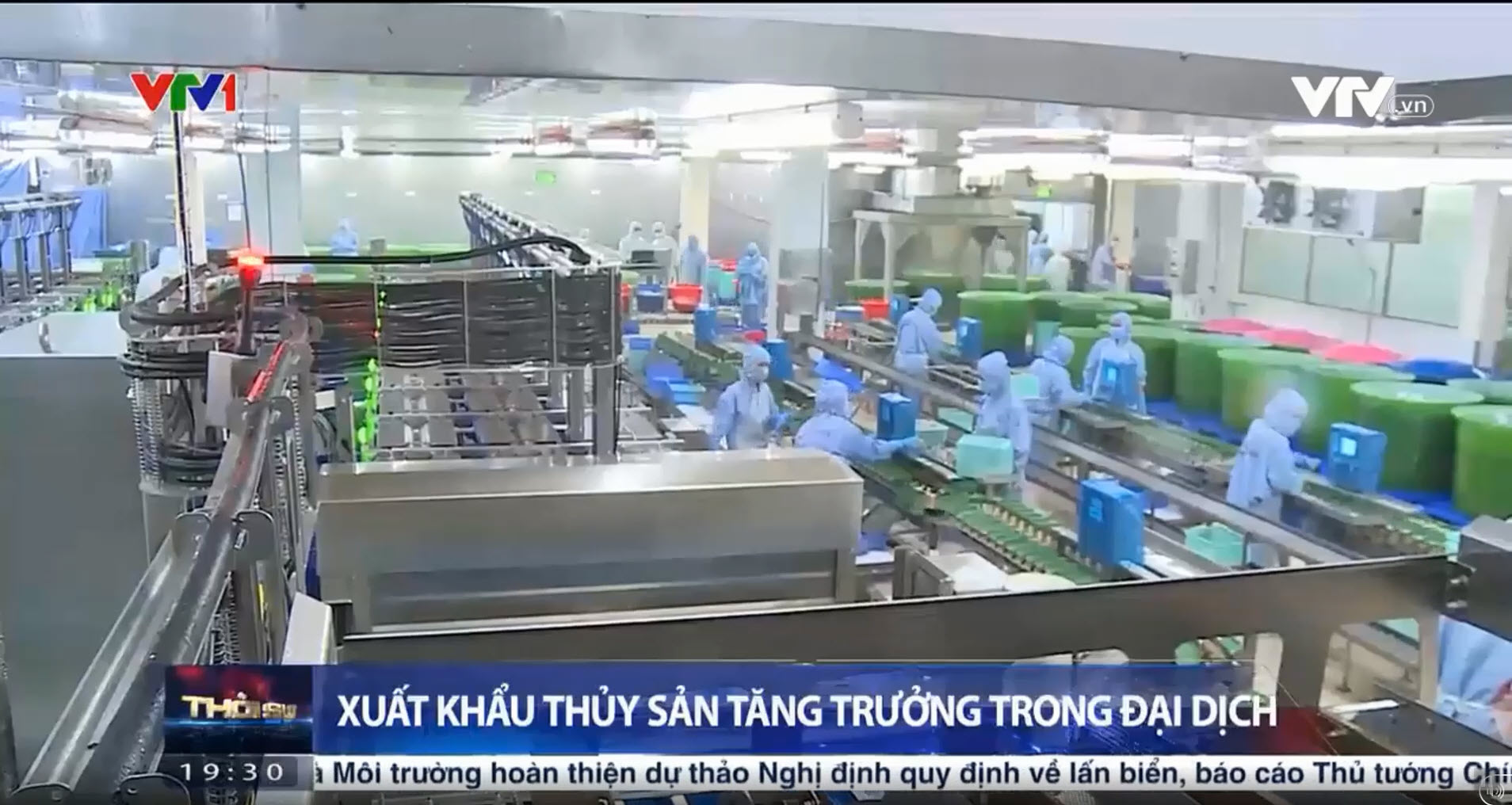 Xuất khẩu thuỷ sản tăng trưởng trong đại dịch