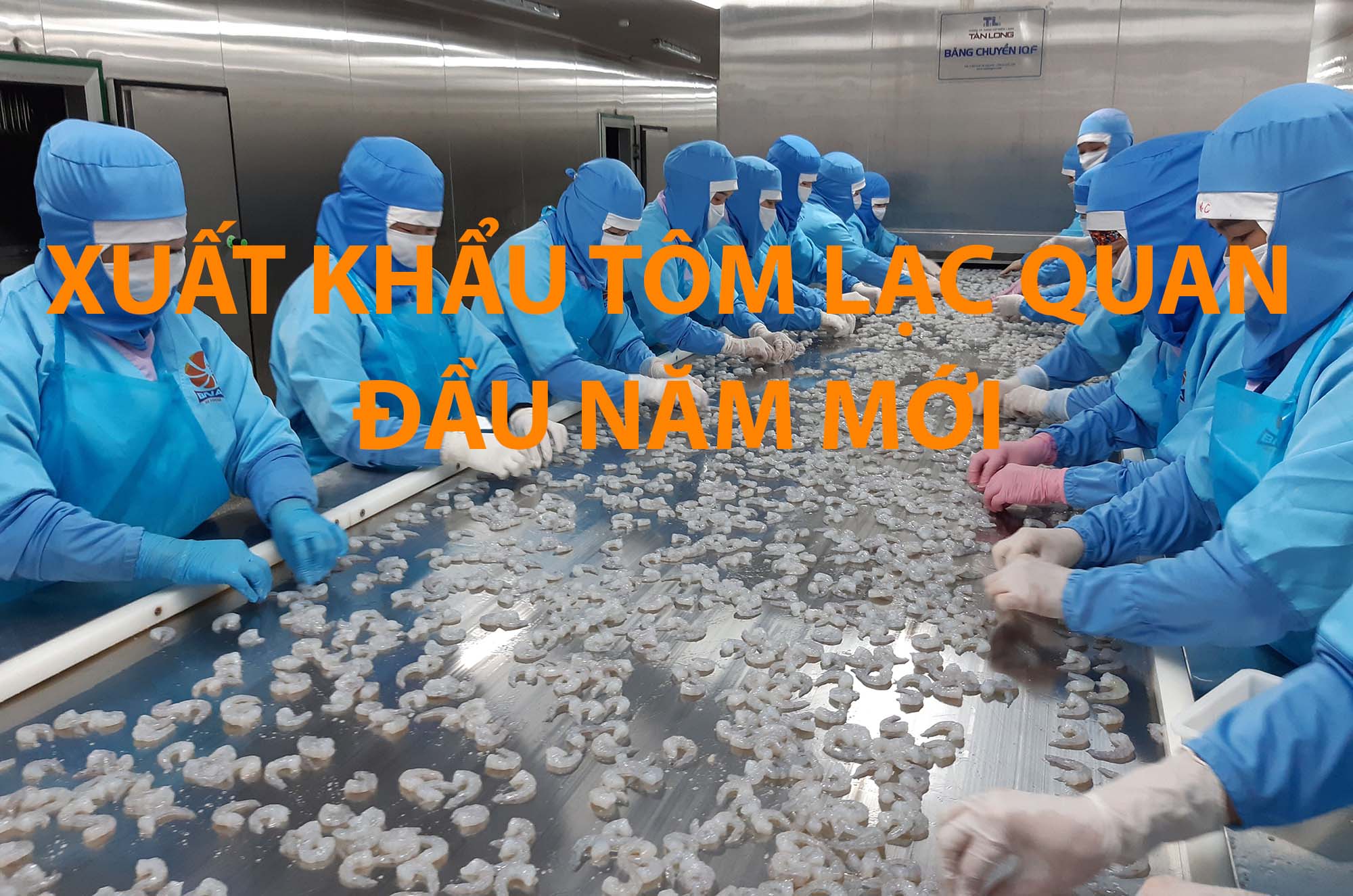 VASEP Highlight - Tôm T22022 xuất khẩu tôm lạc quan đầu năm mới