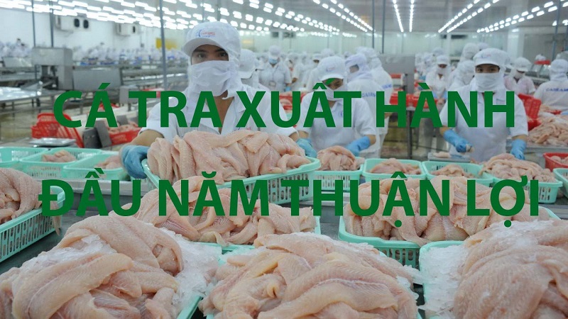 VASEP Highlight - Cá tra T22022 cá tra xuất hành đầu năm thuận lợi