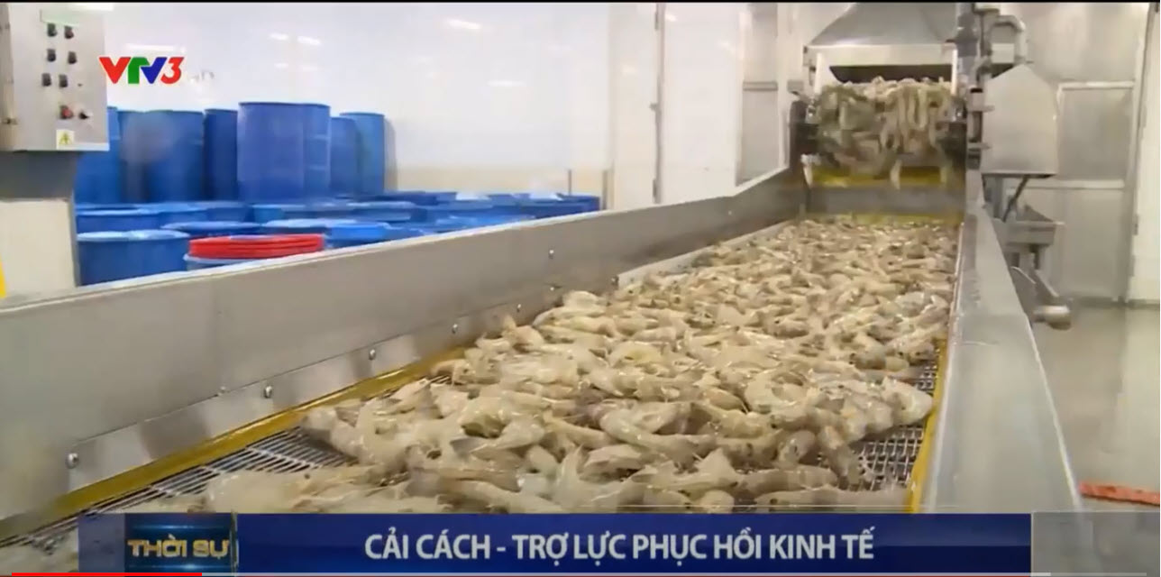 Cải cách - Trợ lực phục hồi kinh tế