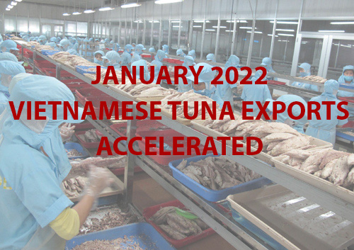 VASEP Highlight - Feb. 2022 Vietnamese tuna exports accelerated in Jan. 2022