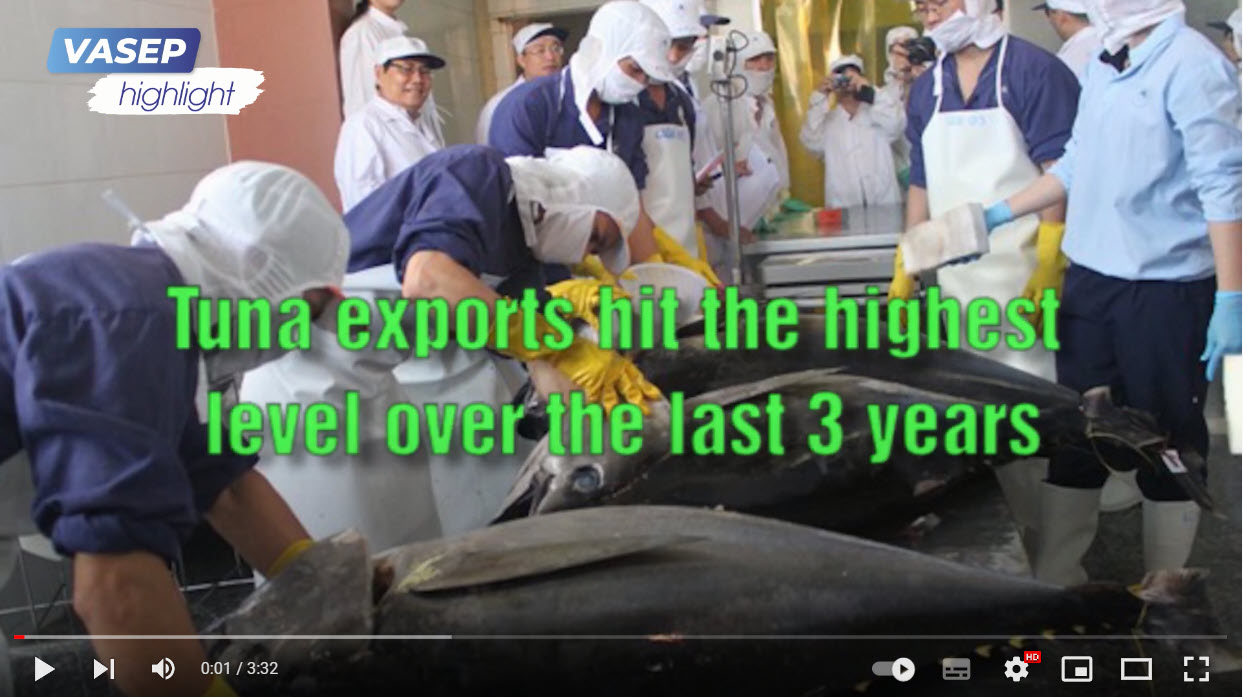 VASEP Highlight - Mar. 2022 Tuna exports hit the highest level in the past 3 years