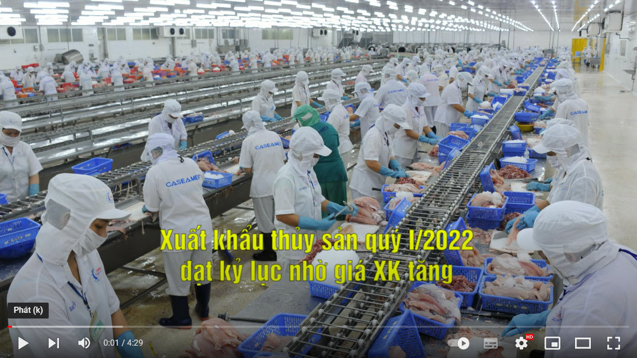VASEP Highlight - Thuỷ sản T42022 XK thủy sản quý I2022 đạt kỷ lục nhờ giá XK tăng