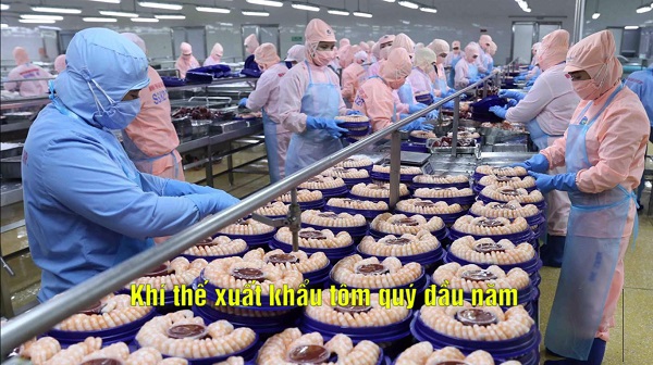 VASEP Highlight - Tôm T42022 Khí thế xuất khẩu tôm quý đầu năm