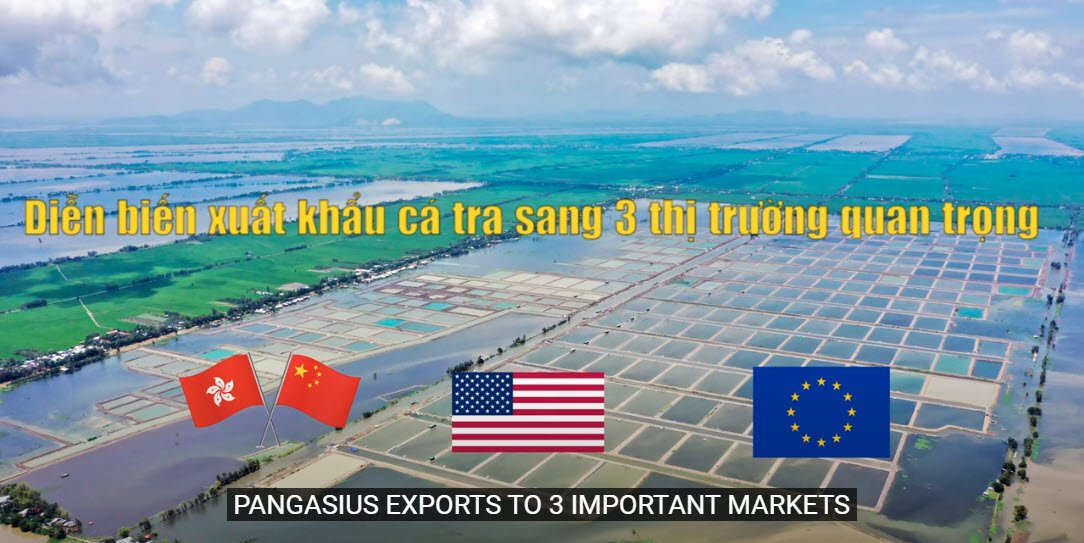 VASEP Highlight - April.2022 Pangasius exports to 3 important markets 