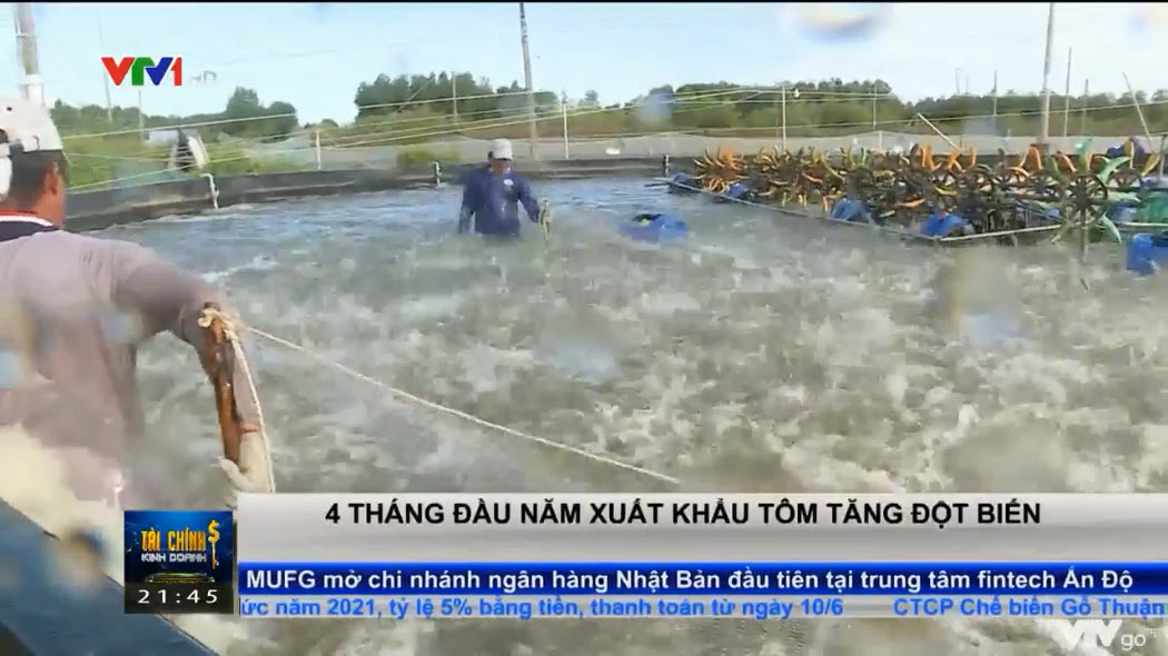 4 tháng đầu năm xuất khẩu tôm tăng đột biến