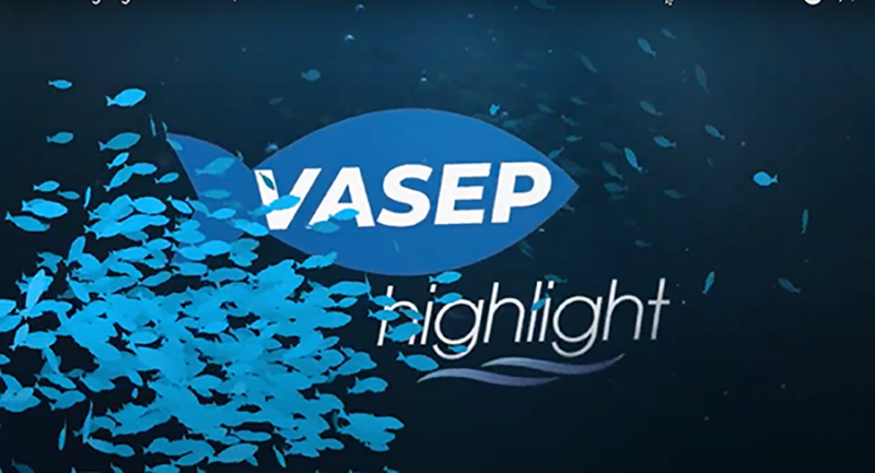 VASEP Highlight - T62022 Xuất khẩu cá tra dự báo đạt 2,6 tỷ USD trong năm nay