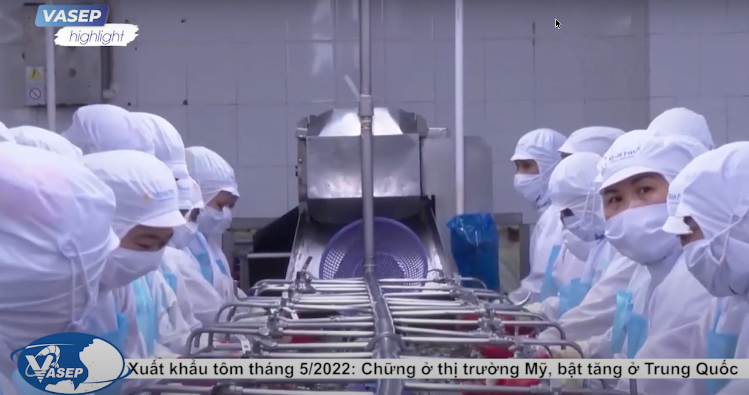 VASEP Highlight - T62022 Xuất khẩu tôm tháng 52022 chững ở thị trường Mỹ, bật tăng ở Trung Quốc