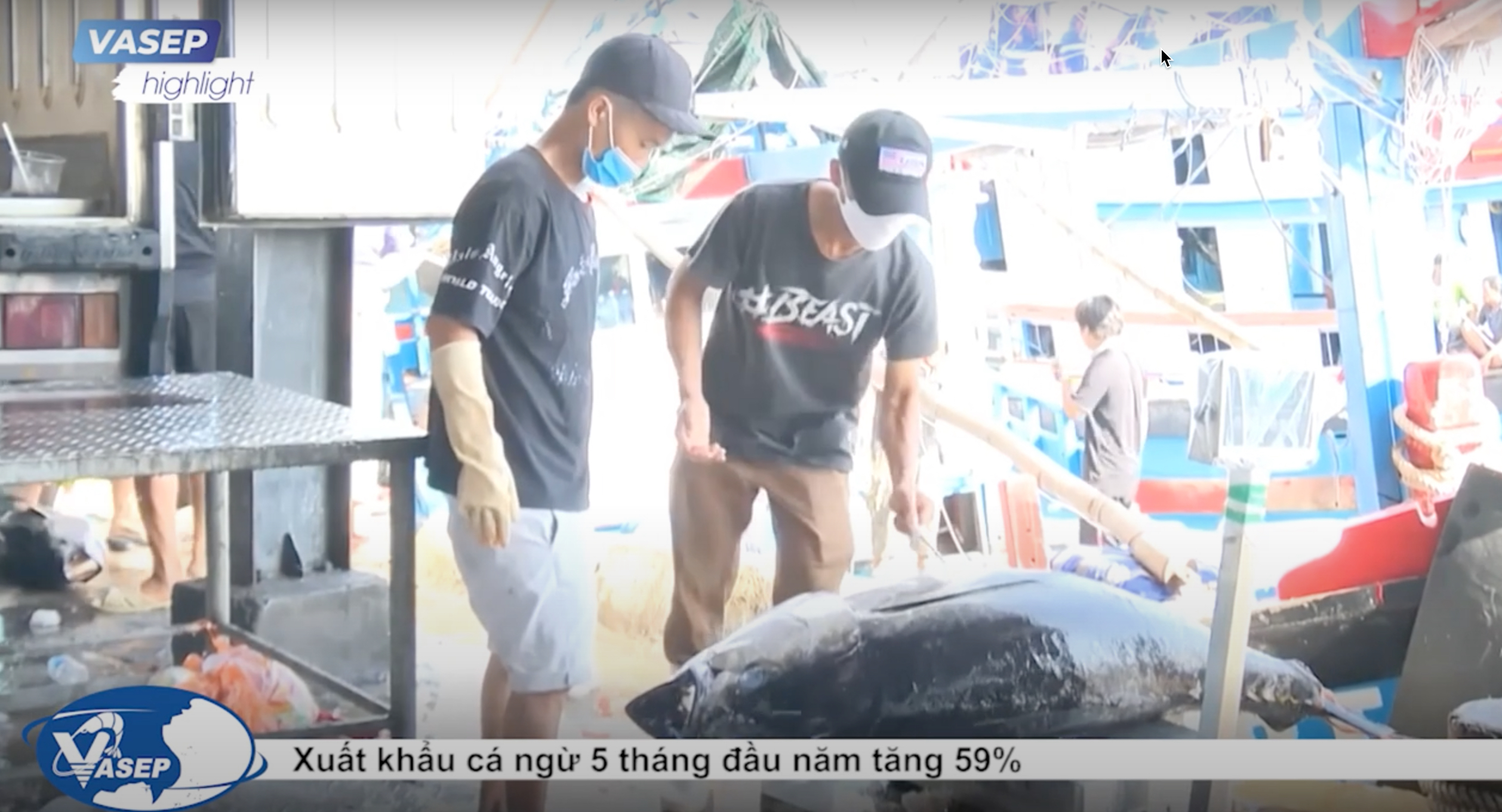 VASEP Highligt - T62022 Xuất khẩu cá ngừ 5 tháng đầu năm tăng 59%