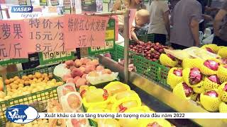 VASEP Highlight - T72022 Xuất khẩu cá tra tăng trưởng ấn tượng nửa đầu năm 2022