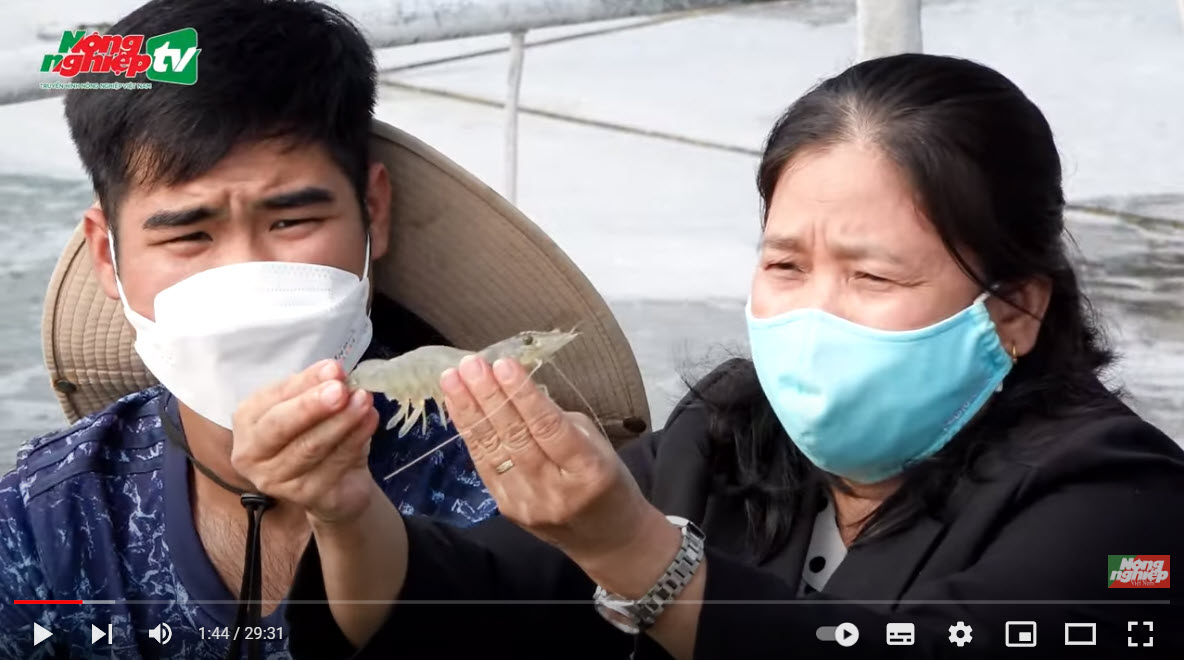 Phát triển nguồn nguyên liệu bền vững cho ngành hàng tôm Việt Nam