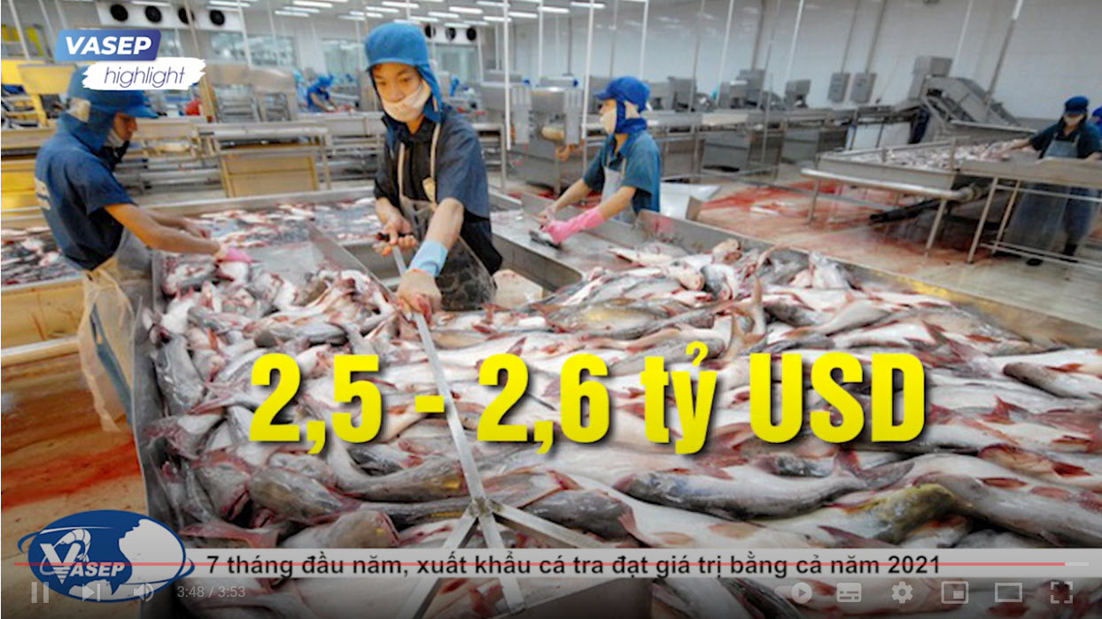 VASEP Highlight - T82022 7 tháng đầu năm 2022 giá trị xuất khẩu cá tra bằng cả năm 2021