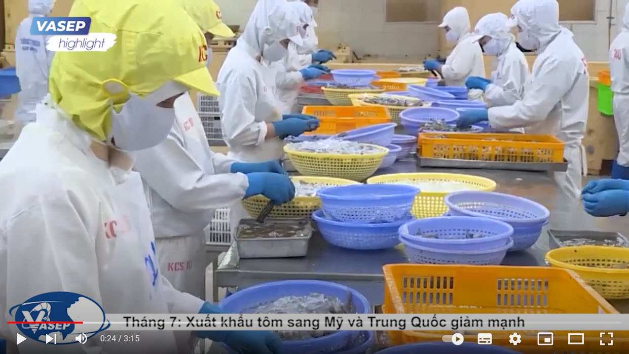 VASEP Highlight - August 2022 July, Shrimp exports to the US and China plummeted