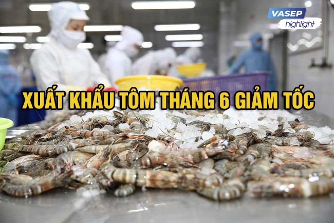 VASEP Highlight - Jul 2022 Shrimp exports in June slowed down
