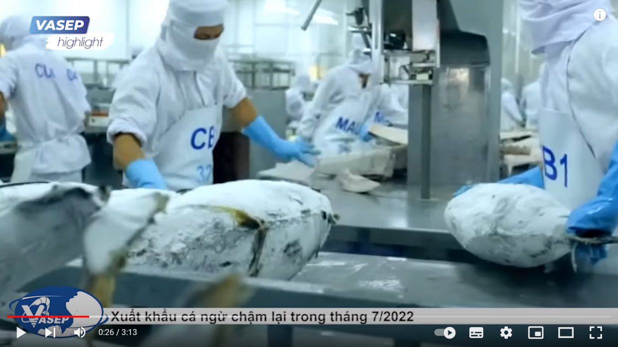 VASEP Highlight - T82022 Xuất khẩu cá ngừ chậm lại trong tháng 72022