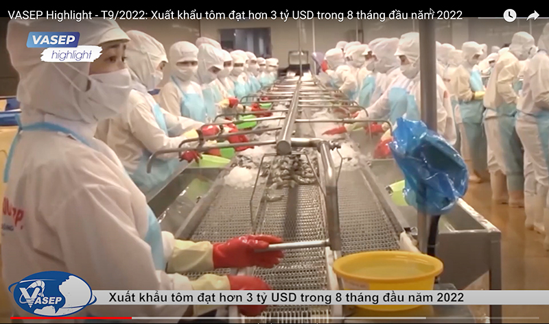 VASEP Highlight - T92022 Xuất khẩu tôm đạt hơn 3 tỷ USD trong 8 tháng đầu năm 2022