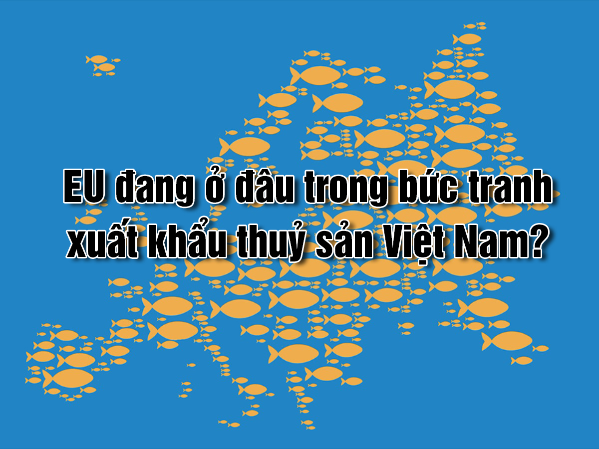 VASEP Highlight - T10 2022 EU đang ở đâu trong bức tranh xuất khẩu thuỷ sản Việt Nam