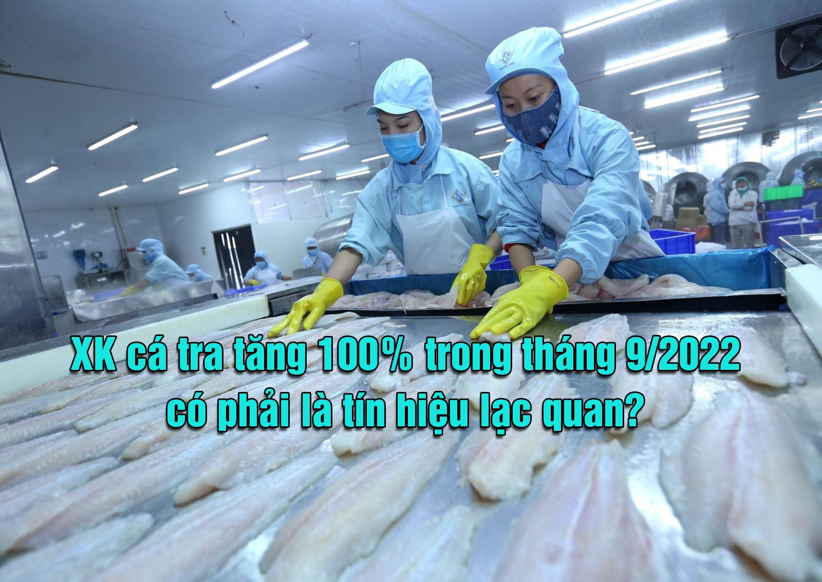 VASEP Highlight - T102022 Tăng trưởng XK cá tra 100% trong T92022 có phải là tín hiệu lạc quan