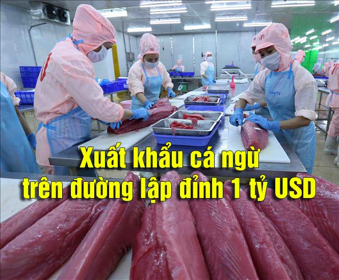 VASEP Highlight - T102022 Xuất khẩu cá ngừ trên đường lập đỉnh 1 tỷ USD
