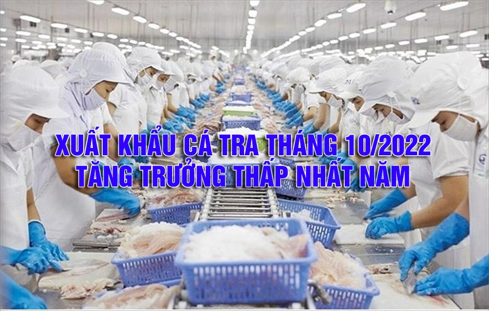 VASEP Highlight - T112022 Xuất khẩu cá tra tháng 102022 tăng trưởng thấp nhất năm