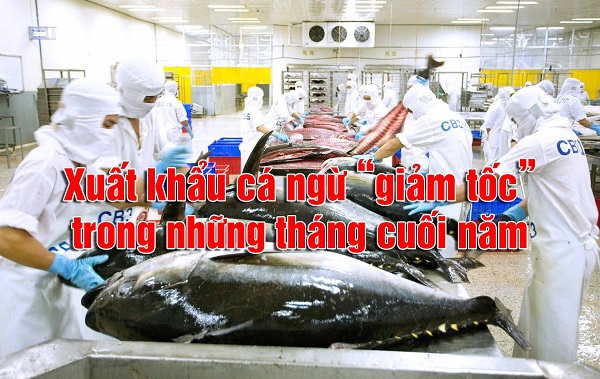 VASEP Highlight - T112022 Xuất khẩu cá ngừ “giảm tốc” trong những tháng cuối năm