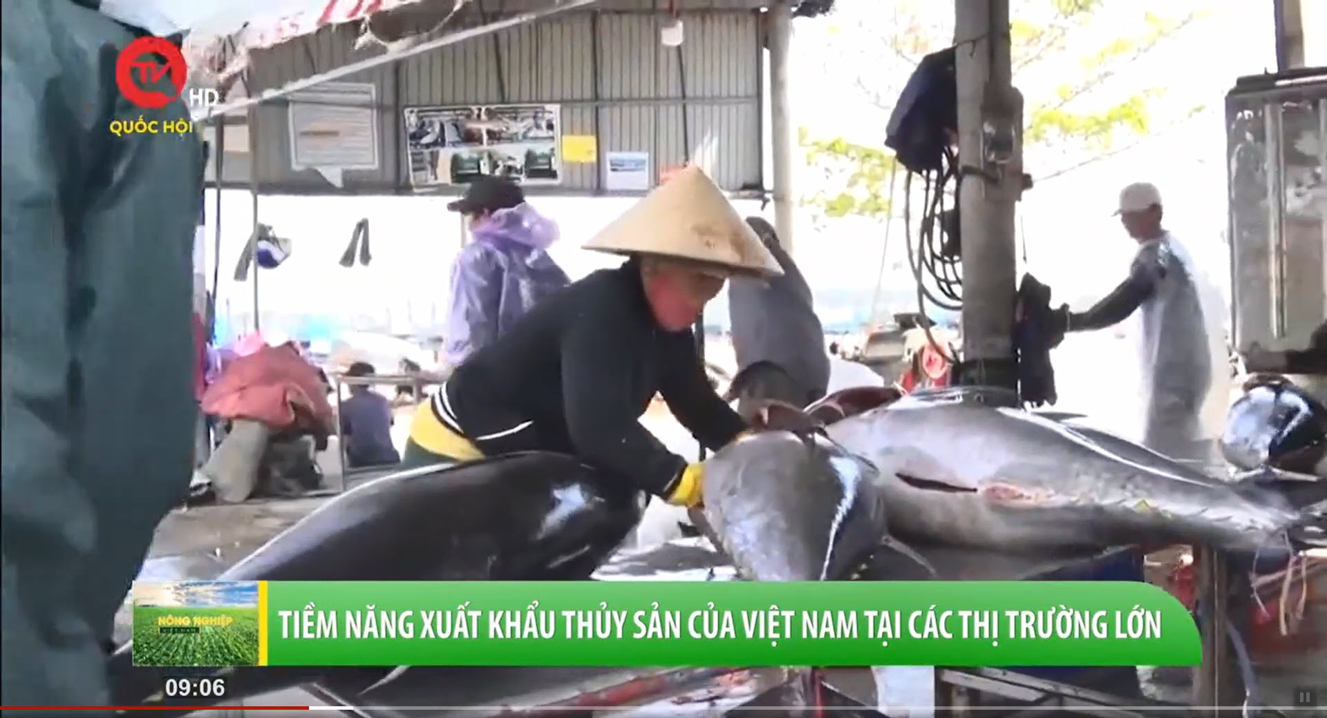 Đảm bảo ngành thủy sản bền vững