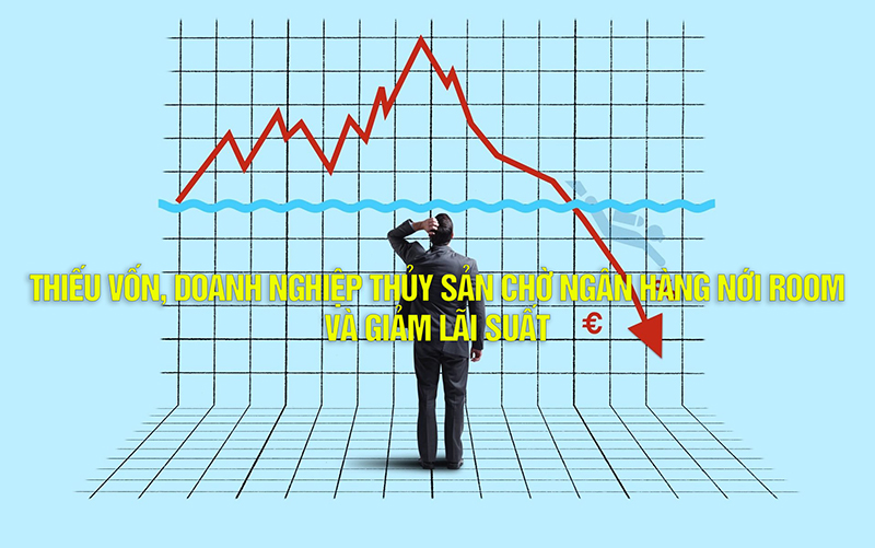 VASEP Highlight - T122022 thiếu vốn, doanh nghiệp thủy sản chờ ngân hàng nới room và giảm lãi suất