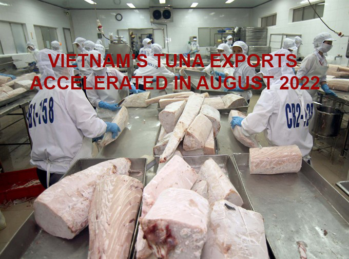 VASEP Highlight - Sep 2022 Vietnam’s tuna exports accelerated In August 2022