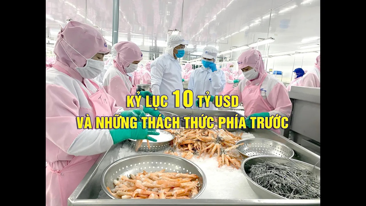 VASEP Highlight - Nov. 2022  The record of 10 billion and challenges ahead of Vietnamese Fishery