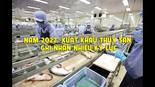 VASEP Highlight - Dec. 2022 Vietnam seafood exports witness many record in 2022