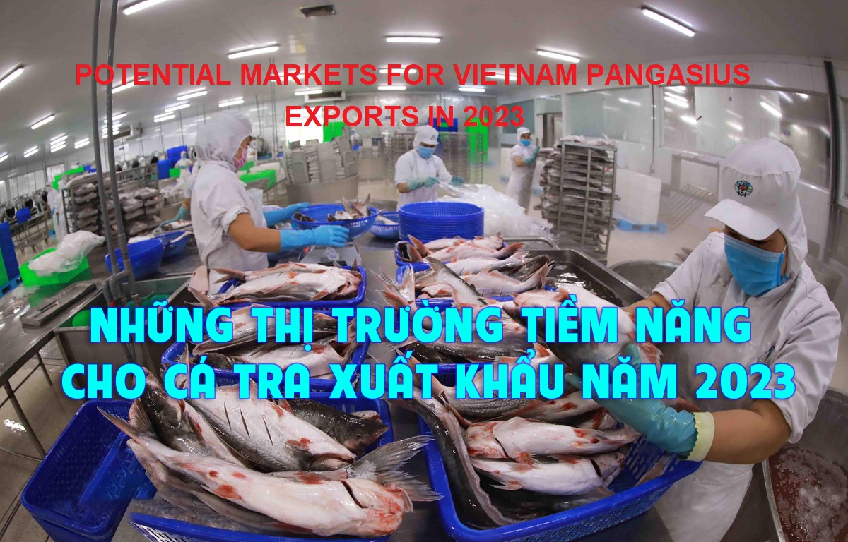 VASEP Highlight - Dec. 2022 potential markets for Vietnam pangasius exports in 2023
