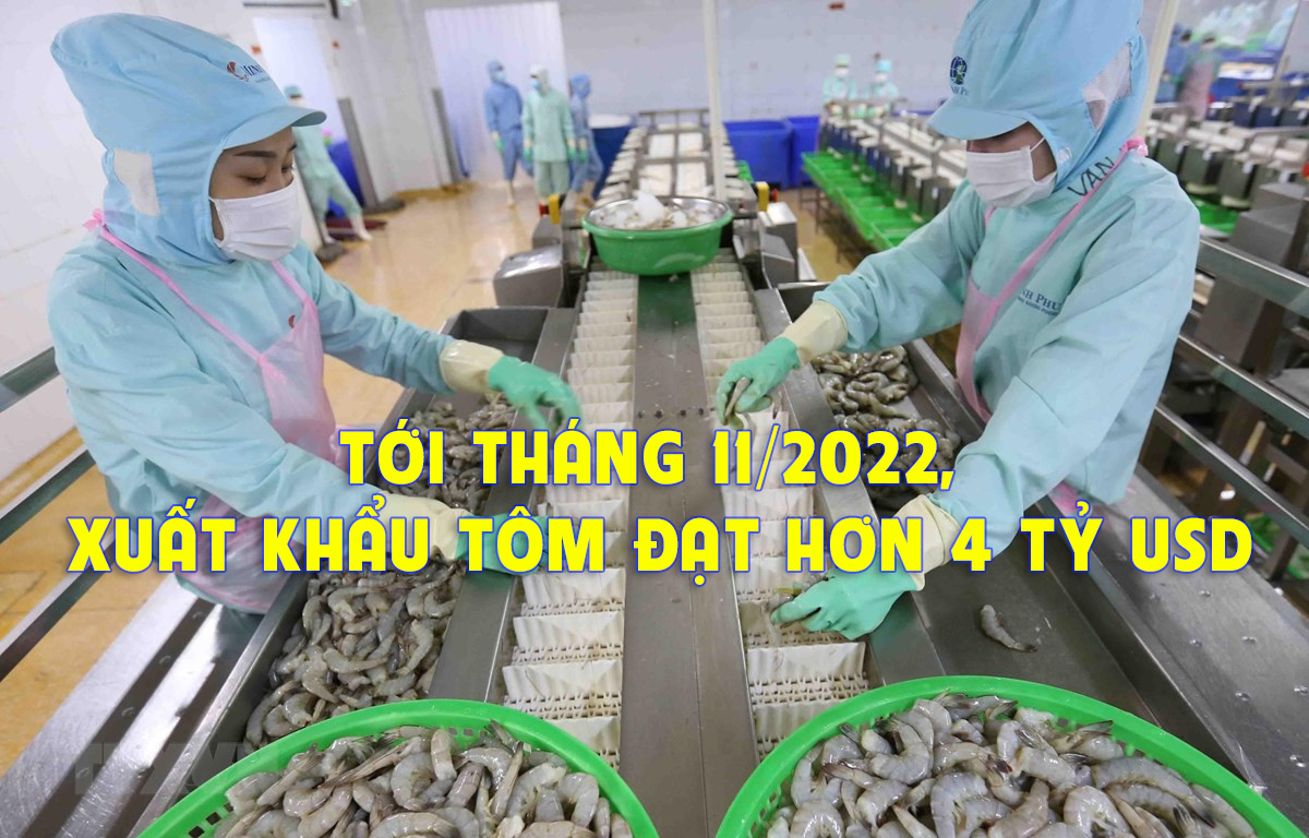 VASEP Highlight - T122022 xuất khẩu tôm đạt hơn 4 tỷ USD trong 11 tháng đầu năm 2022