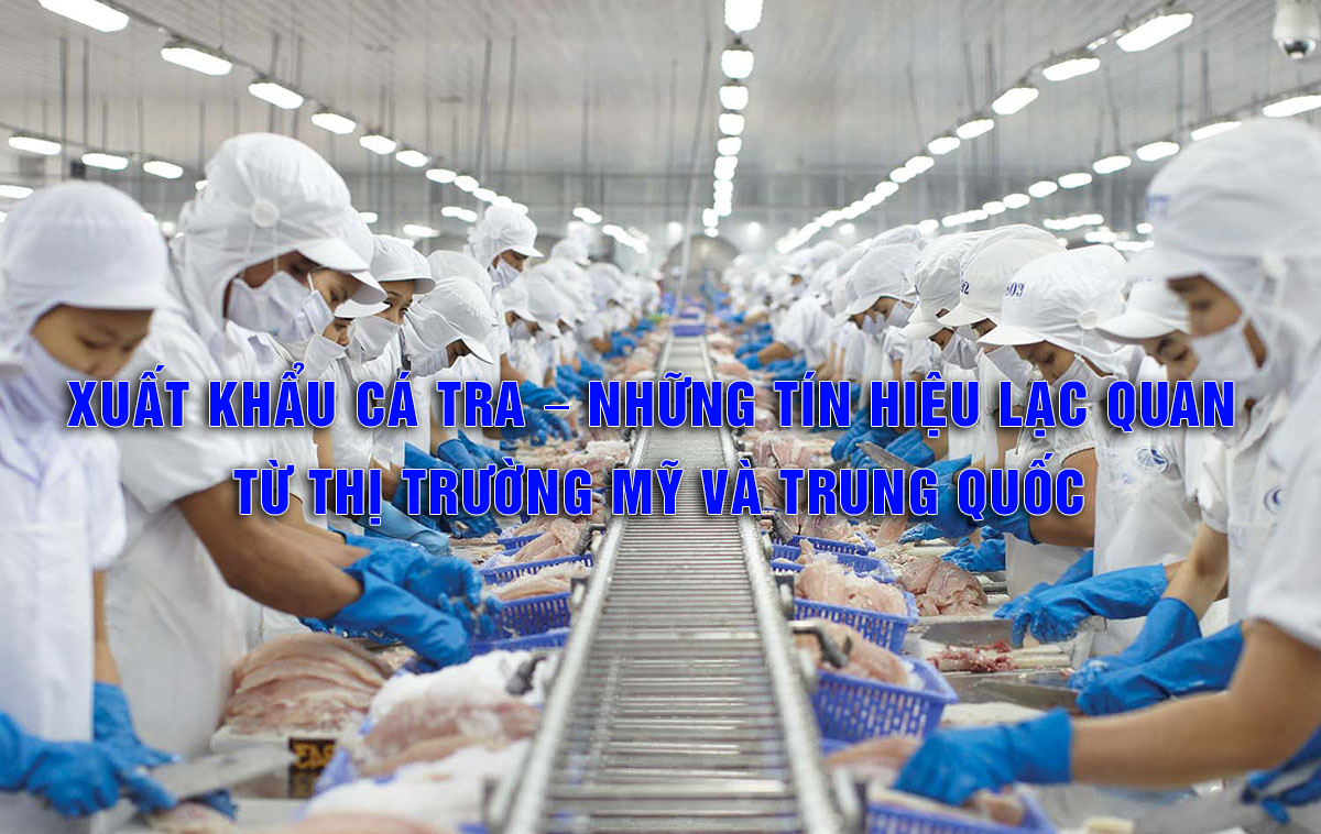 VASEP Highlight - T12023 xuất khẩu cá tra – những tín hiệu lạc quan từ thị trường Mỹ và Trung Quốc