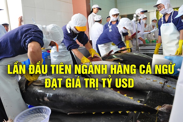 VASEP Highlight - T12023 lần đầu tiên ngành hàng cá ngừ đạt giá trị tỷ USD