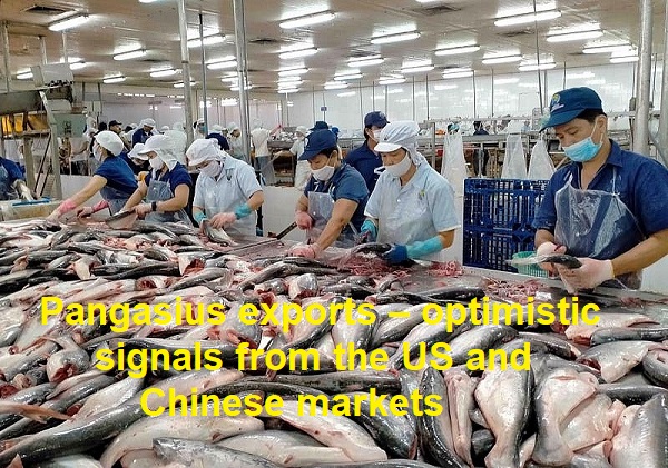 VASEP Highlight - Jan. 2023 pangasius exports – optimistic signals from the US and Chinese markets