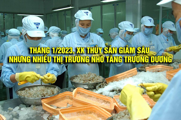 VASEP Highlight - T22023 Tháng 12023, XK thủy sản giảm sâu nhưng nhiều thị trường nhỏ tăng trưởng dương