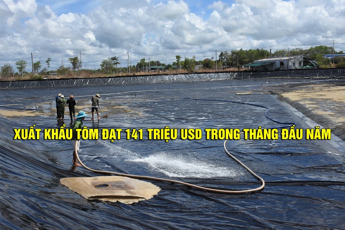 VASEP Highlight - T22023 Xuất khẩu tôm đạt 141 triệu USD trong tháng đầu năm