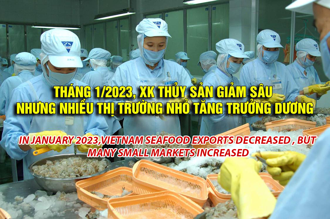 VASEP Highlight- Feb.2023 In January 2023, Vietnam seafood exports decreased , but many small markets increased