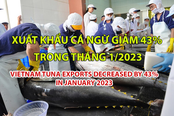 VASEP Highlight - Feb. 2023 Vietnam tuna exports decreased by 43% in January 2023
