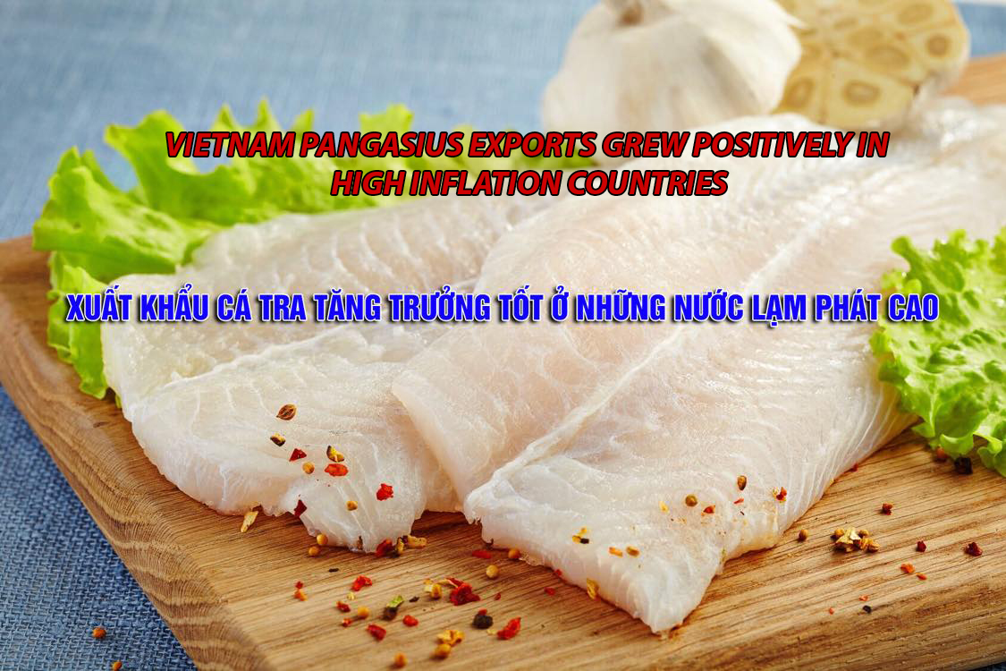 VASEP Highlight - Feb.2023 Vietnam pangasius exports grew positively in high inflation countries
