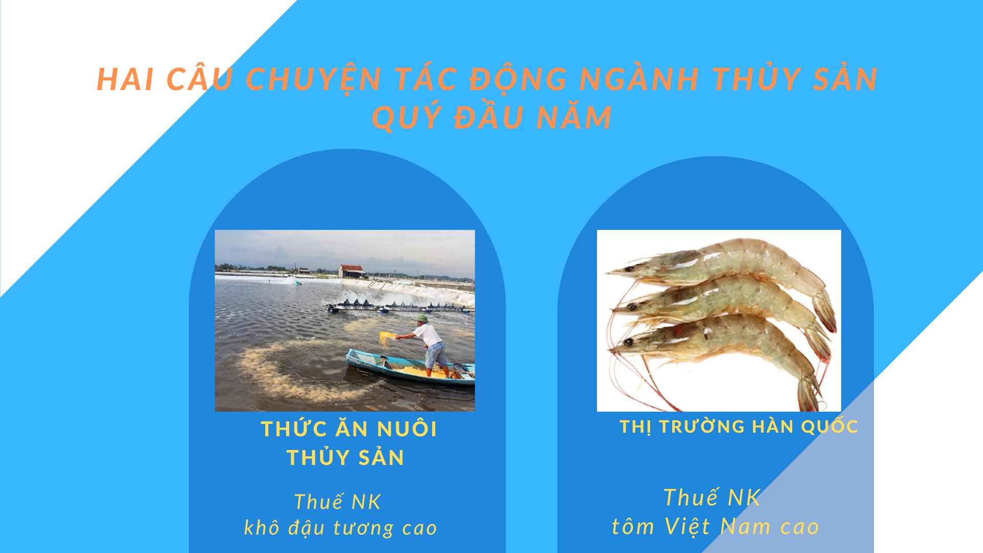 VASEP Highlight - T32023 Hai câu chuyện tác động đến sản xuất, xuất khẩu thủy sản quý đầu năm