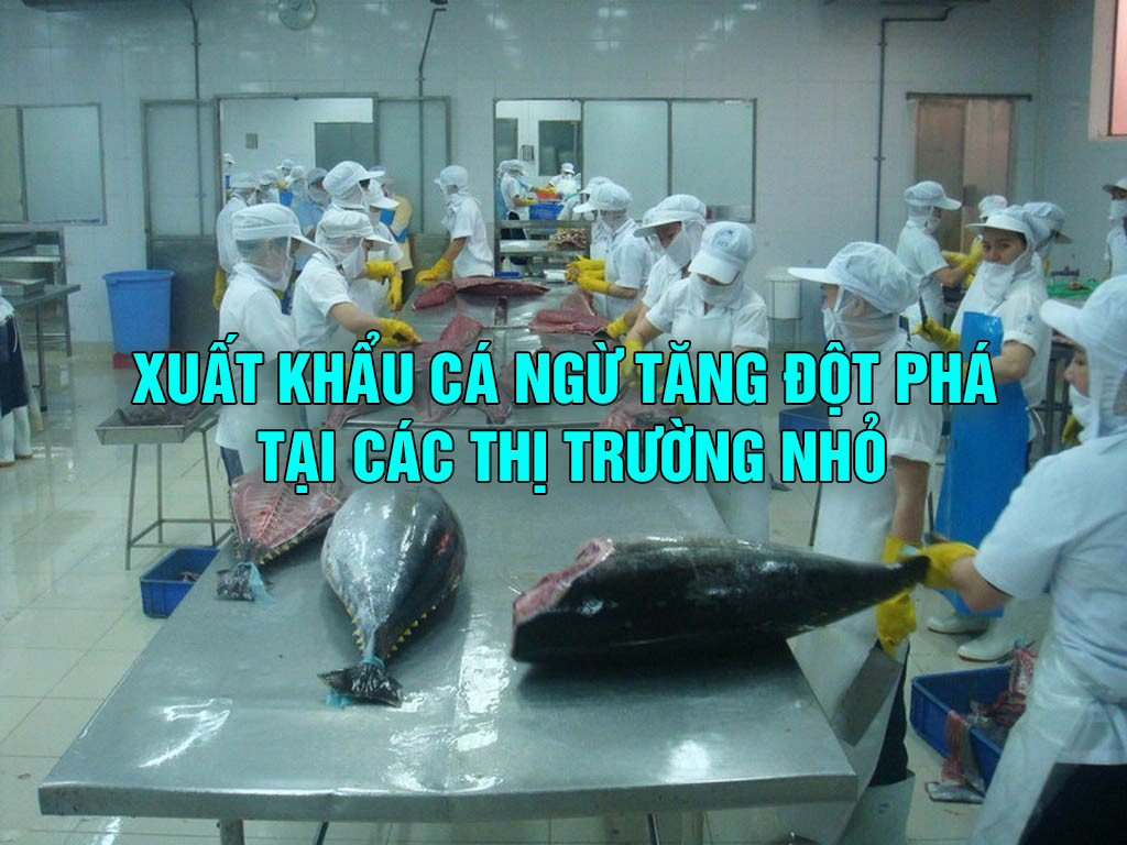 VASEP Highlight - T32023 Xuất khẩu cá ngừ tăng đột phá tại các thị trường nhỏ